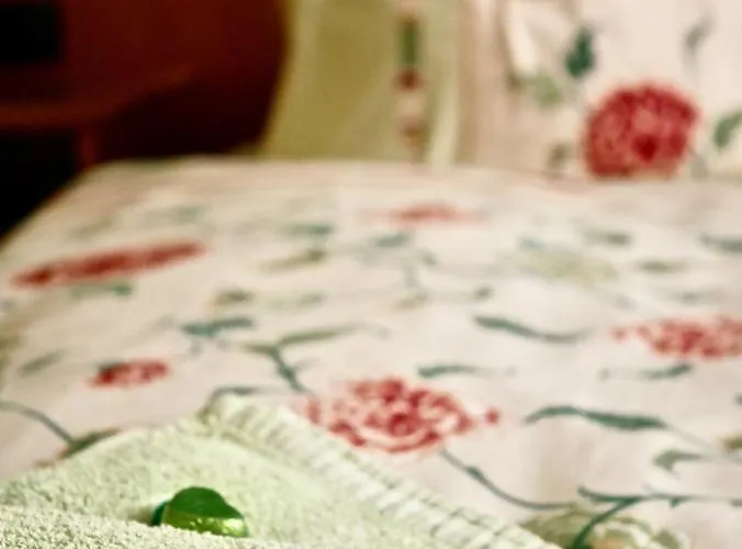 Gruenes Herz Gæstehus