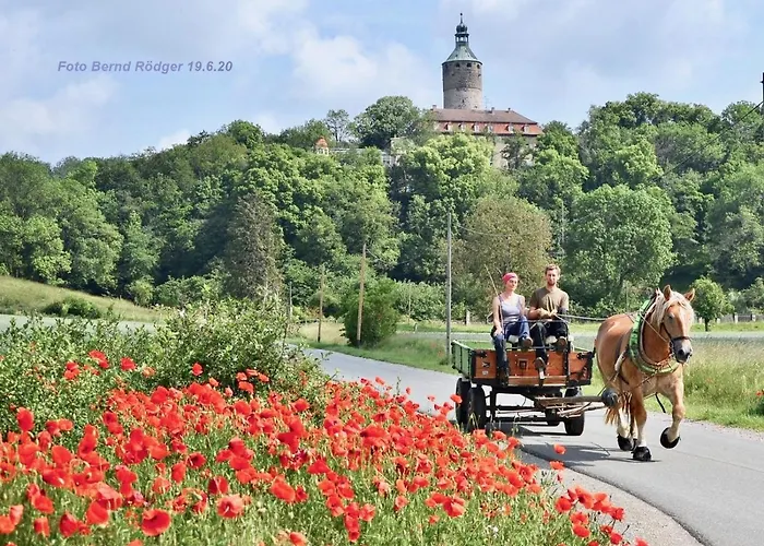 Gruenes Herz Gæstehus 3*